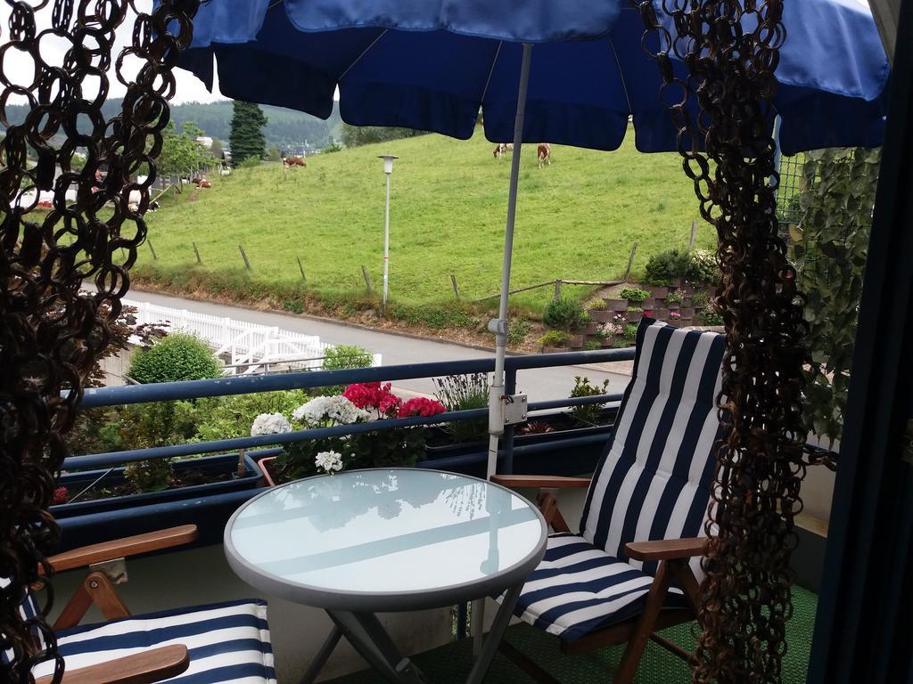 Haus Elsholz Willingen Willingen (Upland)
