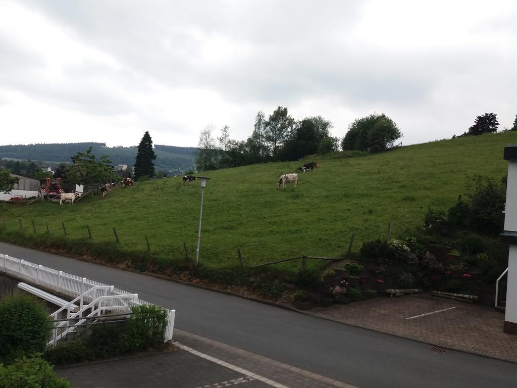 Haus Elsholz Willingen *