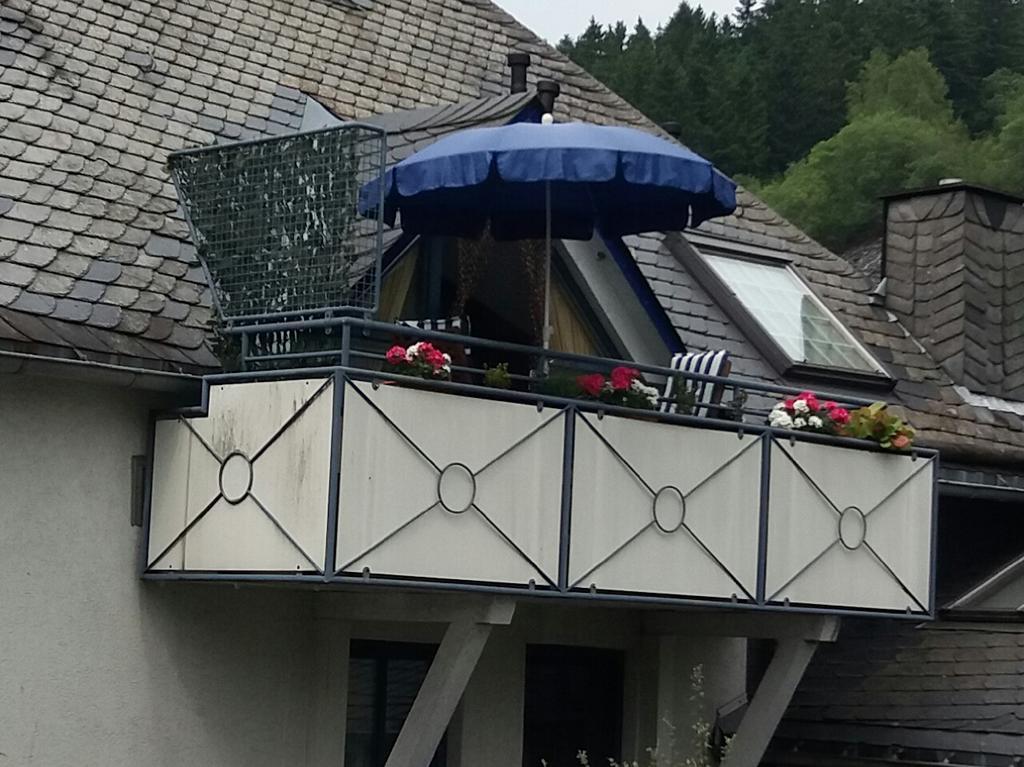 Haus Elsholz Willingen Apartment *